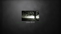 Linux linux mint GNU/Linux