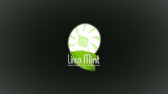 Linux mint computer