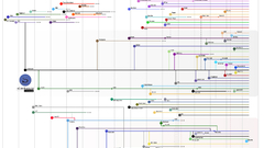 Linux Operating Systems infographics