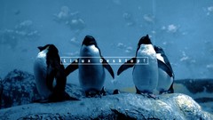 Linux Penguins
