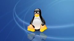 Linux Penguins computer