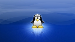 Linux tux computer