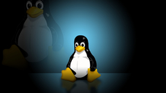 Linux tux computer