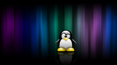 Linux tux computer