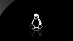 Linux tux computer