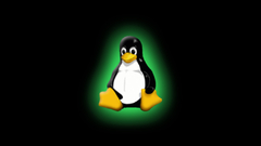 Linux tux computer