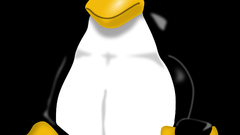 Linux tux computer