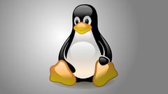 Linux tux computer