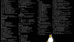 Linux tux console infographics
