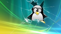 Linux tux Penguins