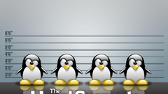 Linux tux Penguins Operating