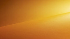 Linux ubuntu final warty