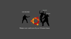 Linux ubuntu ninjas cant