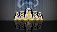 Linux ubuntu tux debian