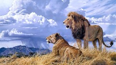 lion Animals artwork nature big cats clouds Mountains sky rain