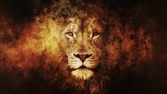 lion Animals texture digital art big cats artwork Mammals