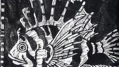 Lionfish Proof high Aquarium