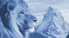Lionmountain Avatar looking at