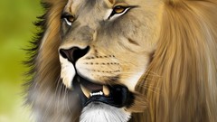 Lions artwork