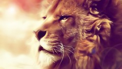 Lions artwork Literature chronicles of Narnia