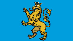 Lions best widescreen background