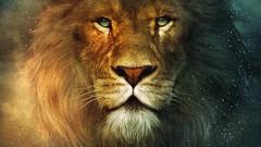 Lions chronicles of Narnia