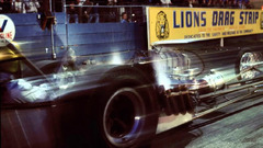 Lions dragstrip high Animals