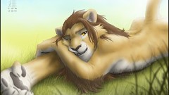 Lions furry