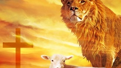 Lions lambs cross