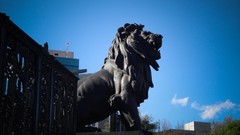 Lions statues