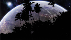 Liquid high binary wp