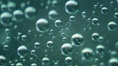 Liquid water drops spider webs