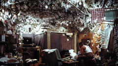 Literature related please invisible