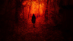 Little Red Riding Hood