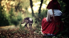 Little Red Riding Hood Wolves forests fairy tales