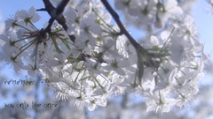 Liveonce alright so This