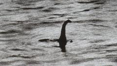 Loch Ness monster Nessi