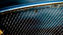 Locks fences blurred background Chain Link Fence