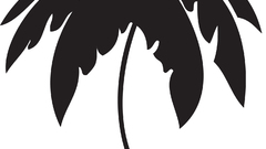 Logo tree Pacific palm