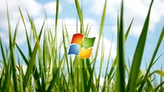 Logos microsoft windows