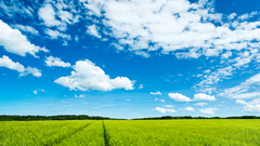 LOL not even fullscreen emats