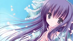 Lolicon tinkerbell hair ribbons