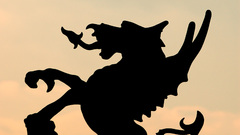 London dragon high Animals