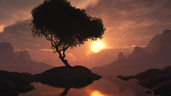 Lone tree Lake nature