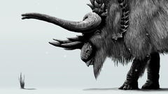 Lonely winter fantasy Wild