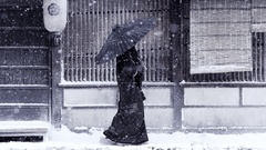 Lonely winter higher res