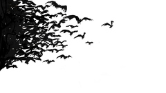 Long copy has been everyday