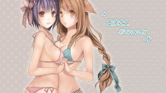 Long hair anime girls brown eyes brunettes braids animal ears 