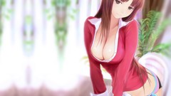 Long hair anime girls brown eyes brunettes cleavage panties 