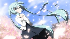 Long hair anime girls hatsune miku vocaloid cherry blossoms 